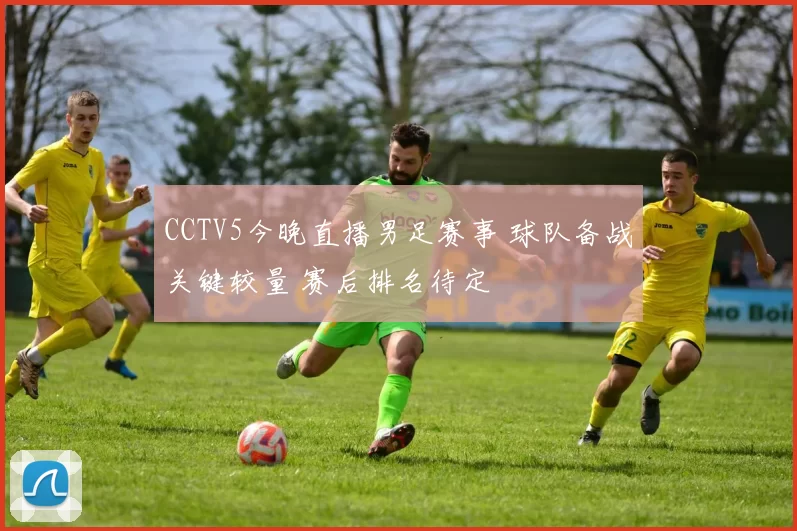CCTV5今晚直播男足赛事 球队备战关键较量 赛后排名待定